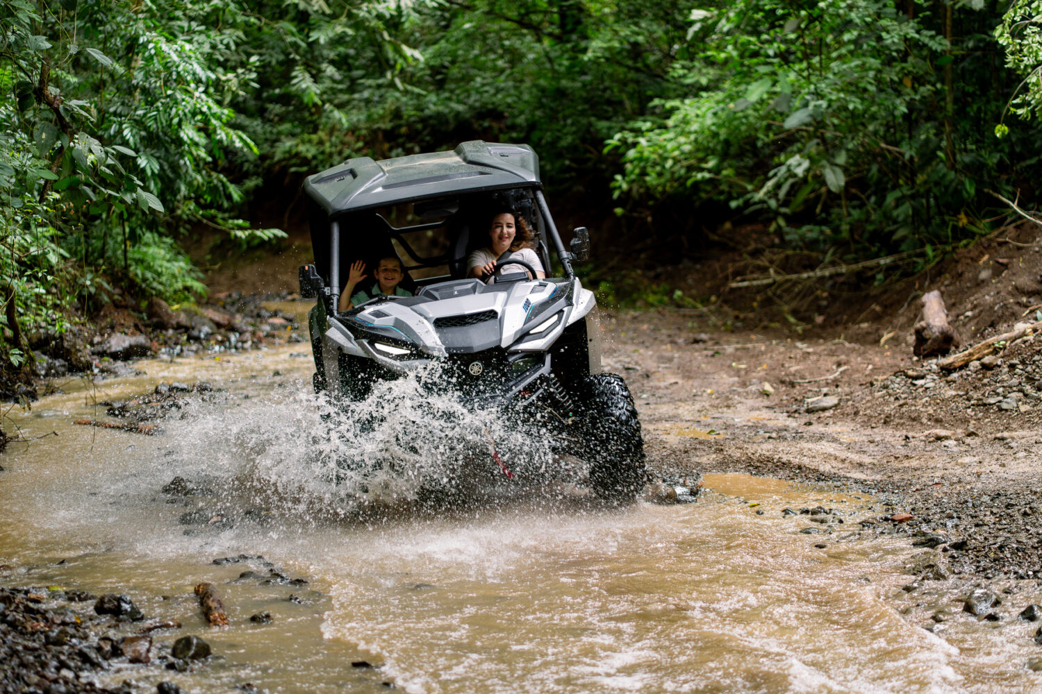 Buggy Tours