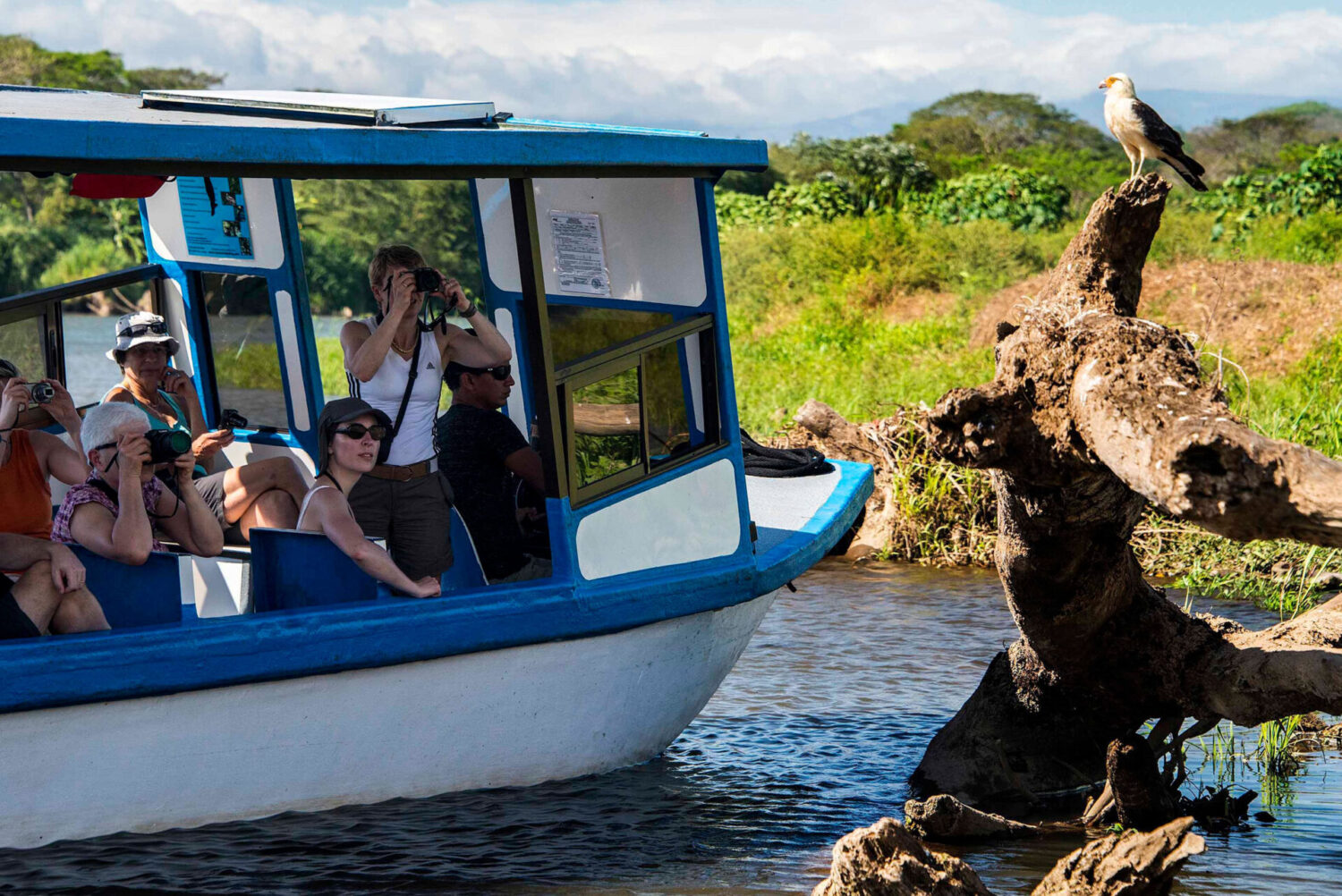 Crocodile safari boat tour on the Tarcoles River near Vista Los Sueños